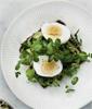 Avocado med med æg