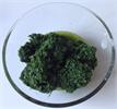 Pesto med grønkål og hasselolie - Low FODMAP